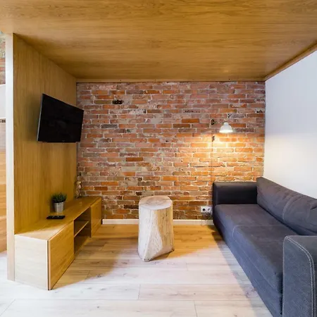 Old Town, Loft Style 아파트 크라쿠프